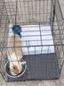 憨憨宠 狗笼猫笼 狗笼子小型犬带厕所幼犬折叠便携猫笼子宠物笼具兔笼 黑色加粗狗丝笼 70*50*60cm【建议25斤内】 实拍图