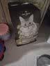 1号会员店（One's Member）全价冻干双拼猫粮 鲜鸡肉配方肠道护理 猫粮成猫幼猫 1.8kg 实拍图