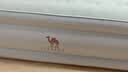 骆驼（CAMEL）自动充气床垫内置泵加高充气床露营睡垫打地铺174BJ37702B 实拍图