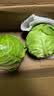 山东新鲜甘蓝包菜卷心菜圆白菜新鲜嫩绿莲花白现摘现发早餐减脂 新鲜包菜 4.6斤净重 人工挑拣 实拍图