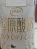 伊利草原酸奶巴氏杀菌原味酸奶230g*10瓶/箱  礼盒装 实拍图