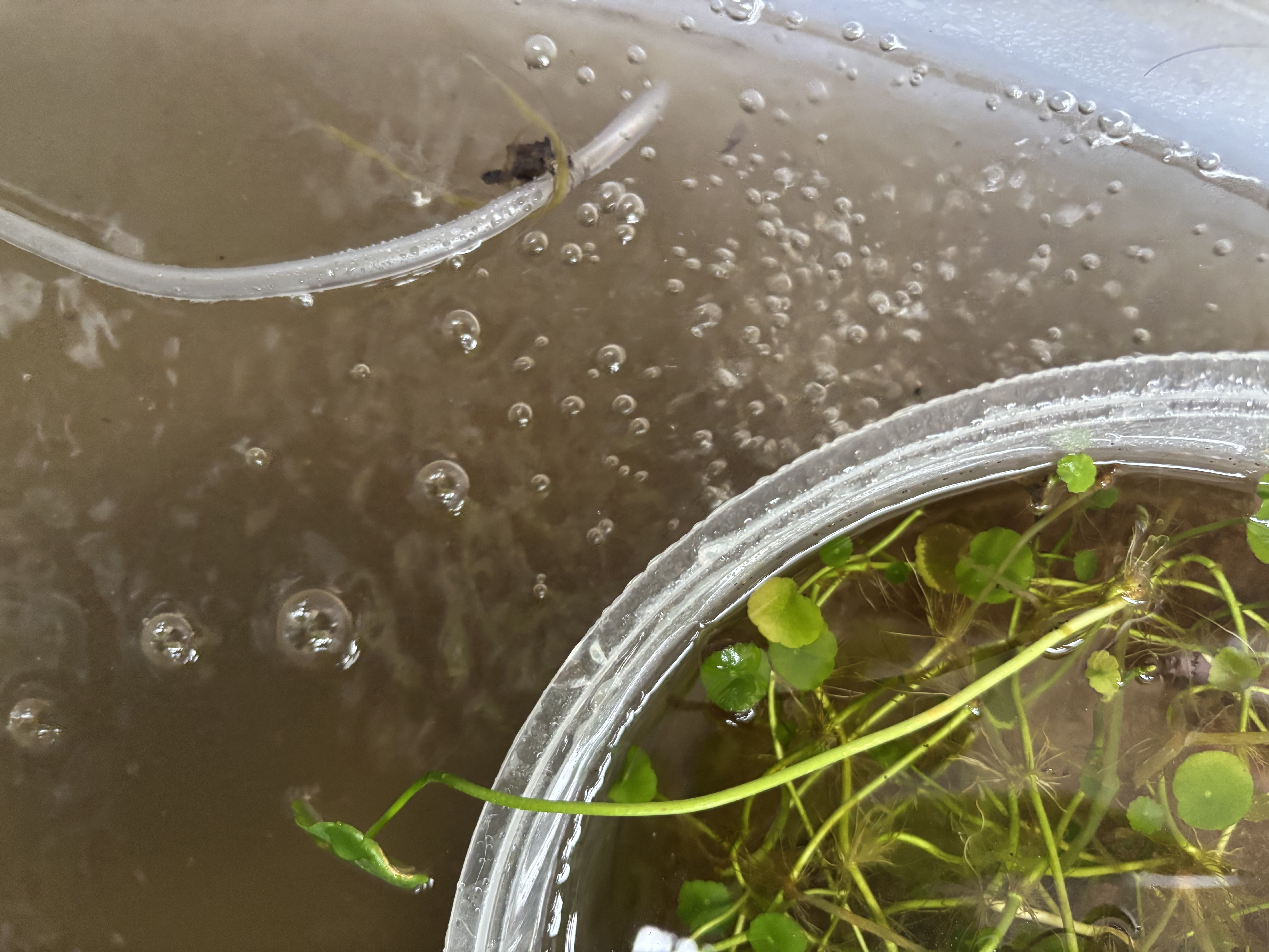 森森（SUNSUN）鱼缸增氧泵水族箱氧气泵家用小型充氧泵 【二代更静】4W双孔+全套配件 实拍图