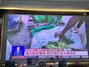 极米（XGIMI）Z6X Pro 三色激光旗舰版 1500CVIA 家用投影仪轻薄智能 一体式云台无线投屏  精致送礼 国家补贴 实拍图