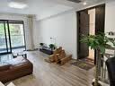 京东绿植绿萝盆栽除甲醛花卉绿植办公室新房净化空气180加仑4盆装源头直发 实拍图