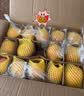 佳农烟台红富士苹果 净重10斤 一级果 单果重160g+  生鲜水果源头直发 实拍图