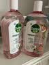 滴露（Dettol）衣物消毒液自然香氛洗衣除菌液 除螨48h留香1000ml*1灭活白念珠菌 实拍图