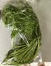 蒿子杆300g(茼蒿） 实拍图