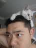 喔喔（WOWO）猫粮幼猫粮 全价无谷源乳配方羊奶增肥奶糕猫干粮1.5kg 动物肉奶 实拍图