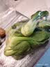 上海青约500g(油菜) 实拍图