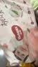 好奇（Huggies）铂金装小桃裤成长裤L120片(9-14kg)尿不湿拉拉裤【散热口碑王】 实拍图