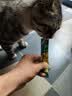 多特思(DOTUS) 猫零食猫条随机口味15g*8支成猫幼猫咪零食湿粮 实拍图