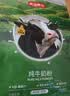 京东京造纯牛奶粉1kg 高钙高蛋白成人中老年学生奶粉A2β-酪蛋白 实拍图