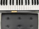 雅马哈（YAMAHA）U1H日本原装进口二手立式钢琴U3H 家用专业儿童初学者钢琴UX考级舞台演奏机械实木真钢琴U2H雅马哈 U1 [121CM 学习考级 限量促销款] 实拍图