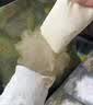 babycare爆款山茶花一次性内裤女士孕产妇XL码30条【安全灭菌】 实拍图