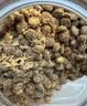 顽皮 【欧阳娜娜试用专属福利】小金盾100%鲜肉全价猫粮100g鸡肉配方 实拍图