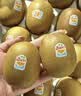 佳沛（zespri）新西兰金奇异果16粒经典果88-103g猕猴桃水果礼盒 实拍图
