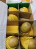 佳沛（zespri）新西兰金奇异果8粒特大果124-146g猕猴桃水果礼盒 实拍图