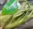 【烧烤季】钟灵山罗马生菜400g 实拍图