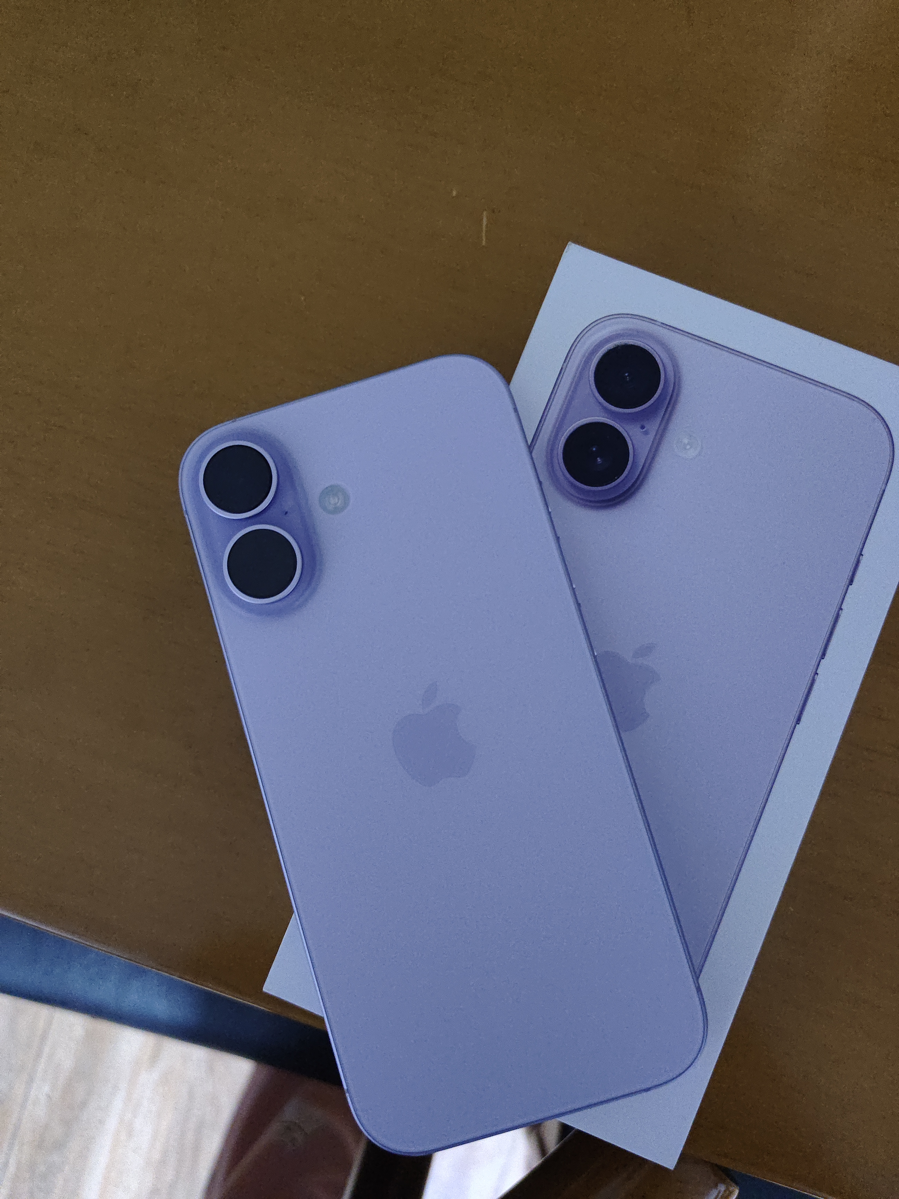 Apple/苹果/苹果 iPhone 17 512GB 薰衣草紫色 支持移动联通电信5G 双卡双待手机 实拍图