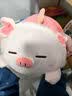 名创优品（MINISO）小猪B-BO锦鲤好运款玩偶毛绒公仔床上抱枕靠枕娃娃生日礼物送女生 实拍图