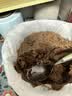 新良低筋小麦粉2斤装 低筋面粉 烘焙原料 饼干糕点用 纸包装面粉 实拍图