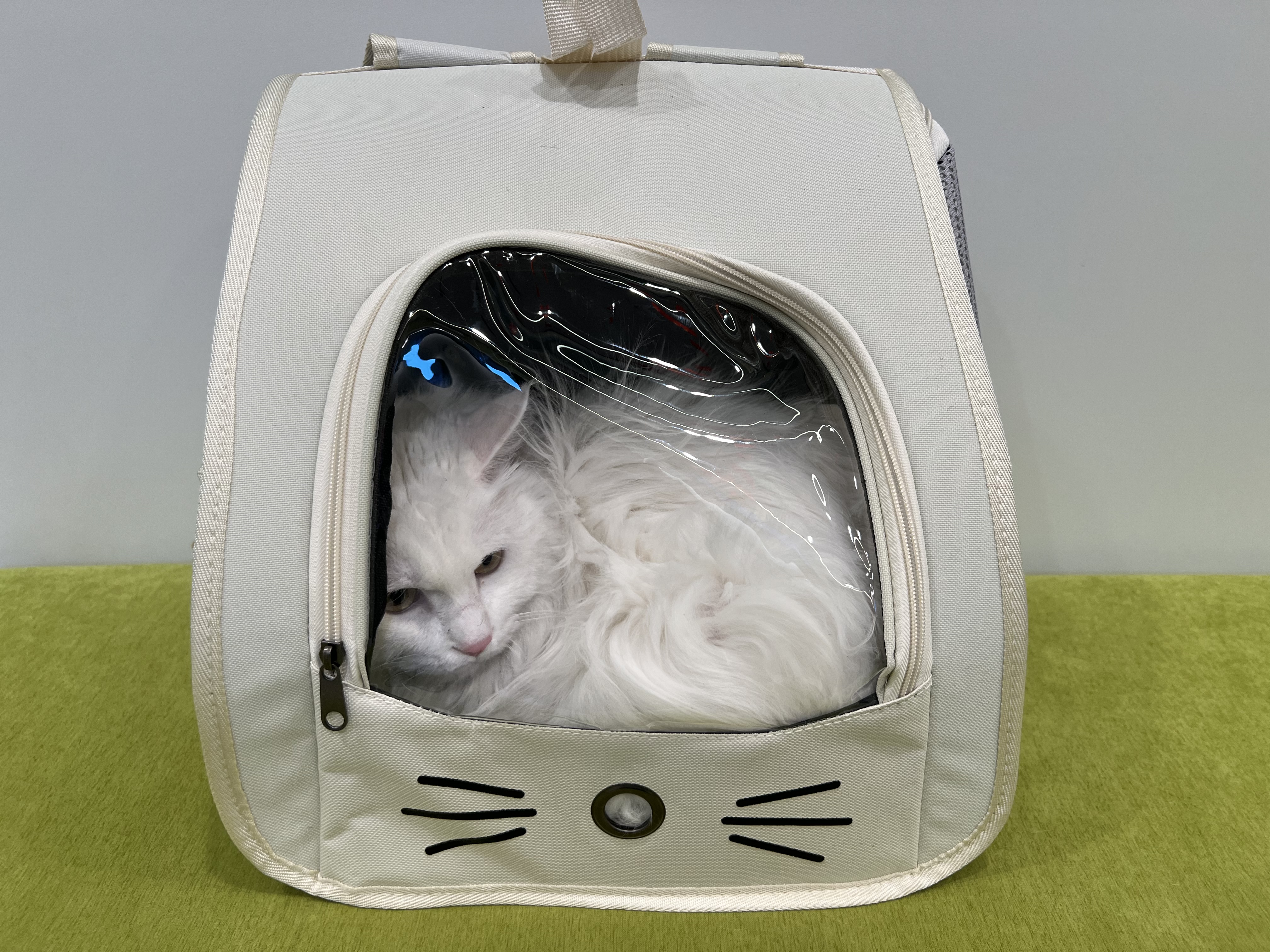 甜浪海猫包外出便携包双肩背包猫咪太空包狗包手提宠物包航空箱米白色 实拍图