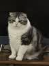 instinct进口猫粮百利无谷鸡全猫幼猫干粮11磅/5kg 实拍图