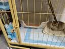 甜浪海猫砂盆半封闭式大号幼猫防外溅防漏猫沙盆猫厕所猫屎盆猫咪用品 实拍图