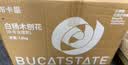 布卡星（BUCATSTATE）仓鼠白杨木刨花垫料木屑垫料金丝熊吸尿造景用品中号1.5kg 实拍图