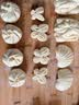 金龙鱼 面粉 高筋粉 高筋麦芯小麦粉20斤 家用包子饺子馒头饼手擀面 实拍图