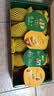 佳沛（zespri）新西兰金奇异果10个装单果重103-114g猕猴桃水果礼盒 实拍图