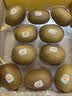 佳沛（zespri）新西兰金奇异果10粒巨大果146-175g猕猴桃水果礼盒 实拍图