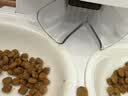 霍曼（Homerun）宠物智能自动喂食器猫粮定时猫咪自动投食机陶瓷双碗增高版PF20 实拍图