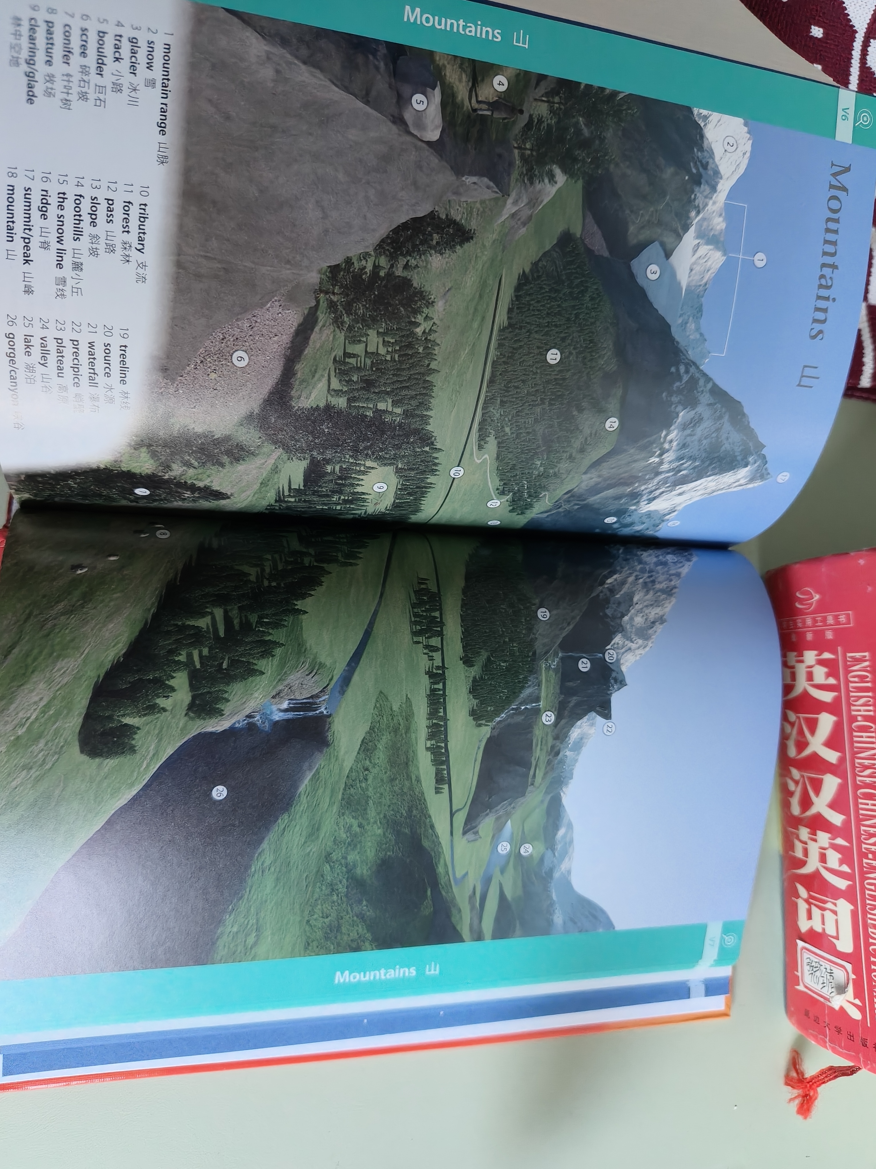 牛津高阶英汉双解词典最新版第10版 商务印书馆可搭2026现代汉语词典第7版第七版古汉语常用字字典第6版新华字典古代汉语词典第3版高中英语词典初中阶英汉双解词典5版6版 晒单实拍图