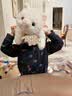 威尔通（WELTSTON）毛绒玩具猫咪玩偶抱枕布娃娃送女孩生日礼物礼品女生白猫咪公仔 实拍图
