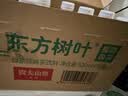 农夫山泉东方树叶绿茶500ml*15瓶无糖茶饮料0糖0脂0卡整箱装饮品 实拍图