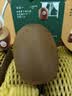 佳沛（zespri）新西兰金奇异果10个装单果重103-114g猕猴桃水果礼盒 实拍图