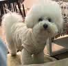 instinct天然百利狗粮进口无谷鸡肉小型犬专用犬粮11磅/5kg[27年11月] 实拍图