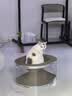 鲜朗低温烘焙猫粮 禽肉配方幼猫成猫奶糕无谷全价猫粮鲜郎 【禽肉配方】猫粮8kg(2kg*4) 实拍图