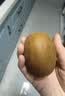 佳沛（zespri）新西兰金奇异果18粒优选果103-124g猕猴桃水果礼盒 实拍图