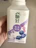 伊利畅轻低温酸奶 生牛乳 蓝莓紫米爆珠250g*4风味发酵乳 酸牛奶 实拍图