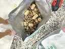 LEGENDSANDY蓝氏全价猫粮生鲜高能系列成猫幼猫 试用 试吃 猎鸟乳鸽 50g*5 实拍图