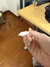 Apple/苹果 Pencil Pro 磁吸触控笔手写笔苹果笔电容笔书写绘画iPad笔 适用于iPad Pro/Air/mini机型 实拍图