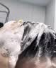 维特丝洗发水男女士专用去屑止痒控油持久蓬松留香洗头膏发露金榜第1名 实拍图