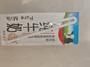 辉山纯牛奶250ml*24盒 3.1g乳蛋白 100mg钙 全新升级 营养牛奶 实拍图