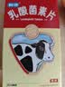 江中 乳酸菌素片32片/盒 乳酸菌益生菌成人儿童调理肠胃肠道 便秘拉肚子通便润肠 消化不良腹泻肠道功能紊乱 实拍图