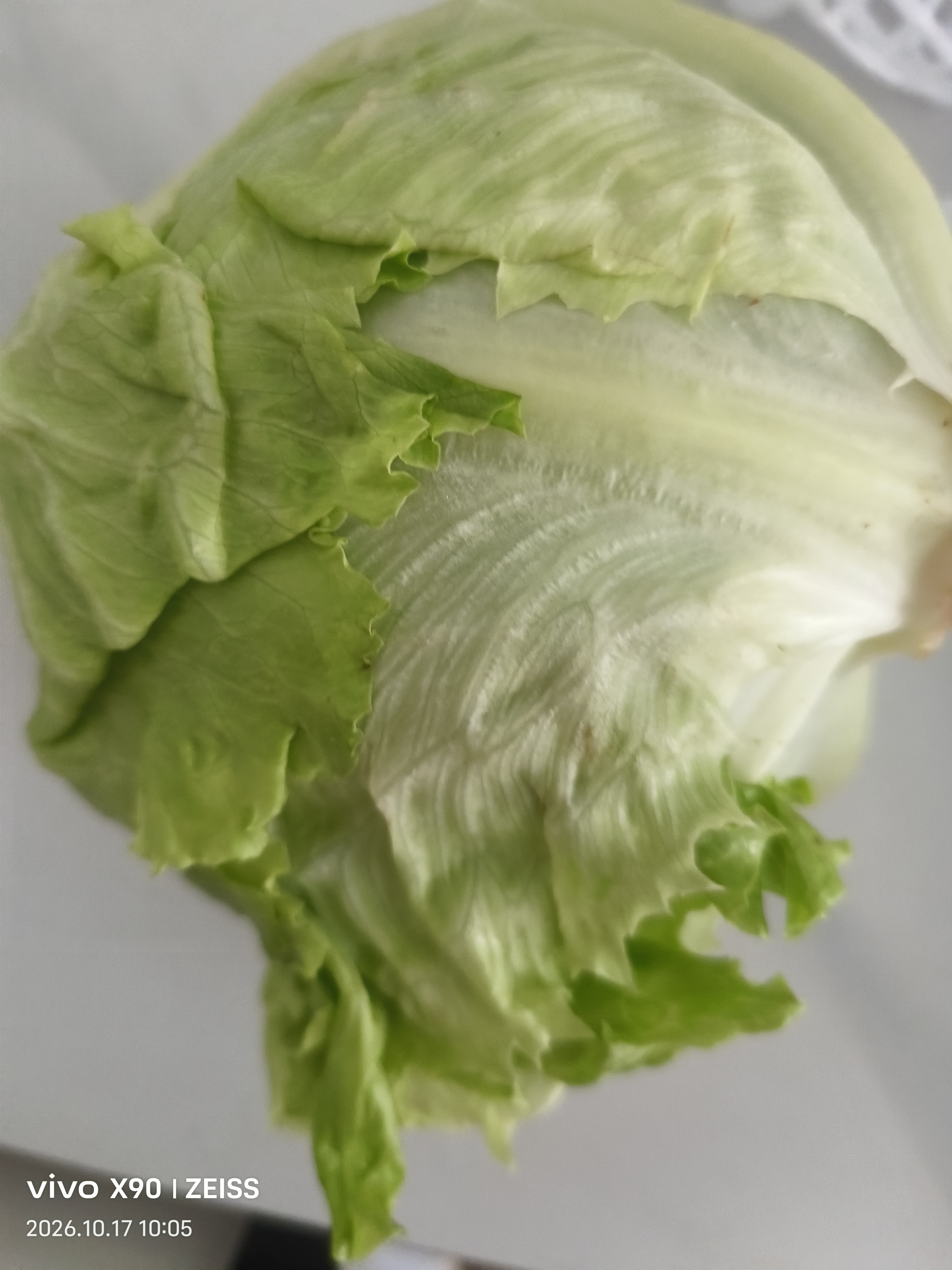 球生菜400g 实拍图