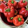 京鲜生红彩椒净重4.5斤 单果200g+新鲜红圆椒水果椒新鲜蔬菜 源头直发 实拍图
