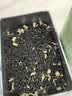 一杯香茶叶茉莉花茶飘雪500g2026新茶礼盒装冷泡送礼茉莉绿茶自己喝散装 实拍图