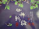 京鲜生【新果】新疆法兰西西梅 净重5斤装 单果16-24g 生鲜礼盒 实拍图
